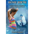 Home Birth: A Modern Memoir on Pregnancy, Midwives, Fitness and Choices