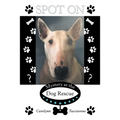 Spot On: Mystery at the Dog Rescue