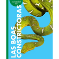 Curiosidad Por Las Boas Constrictoras