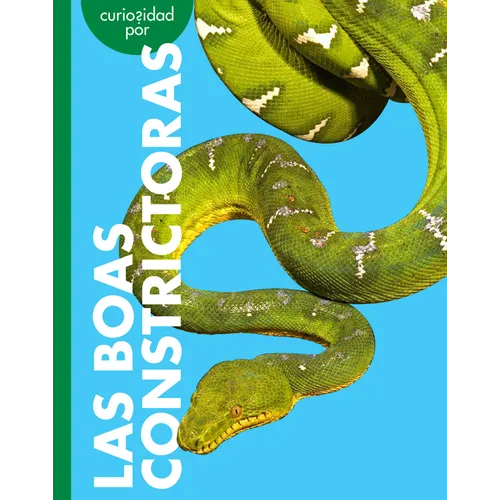 Curiosidad Por Las Boas Constrictoras