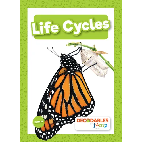 Life Cycles