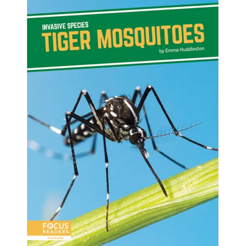Tiger Mosquitoes