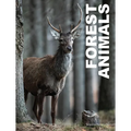 Forest Animals