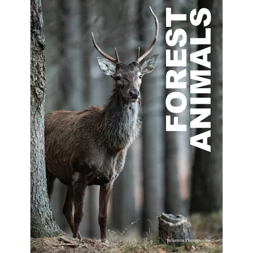 Forest Animals