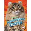 American Curls