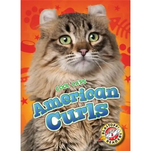 American Curls
