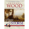 The Fire that Calms the Storm: A Story of the Civil War