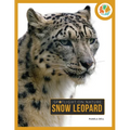 Snow Leopard