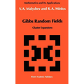 Gibbs Random Fields: Cluster Expansions