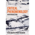 Critical Phenomenology: An Introduction