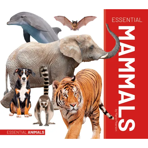 Essential Mammals