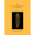 The Metamorphosis of Plants