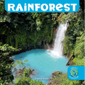 Rainforest