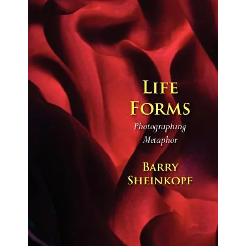 Life Forms: Photographing Metaphor