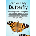 Painted Lady Butterfly: A Comprehensive Care Guide To Painted Lady Butterflies Feeding, Interaction, Health, Habitat, Pros & Cons And More