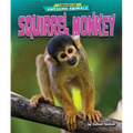 Squirrel Monkey