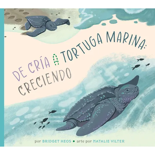 de la Cría a la Tortuga Marina: Creciendo
