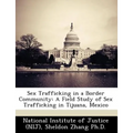 Sex Trafficking in a Border Community: A Field Study of Sex Trafficking in Tijuana, Mexico