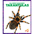 Tarantulas