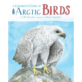 A Children's Guide to Arctic Birds