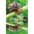 Consider the Snail
