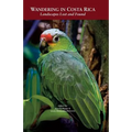 Wandering in Costa Rica: Landscapes Lost and Found