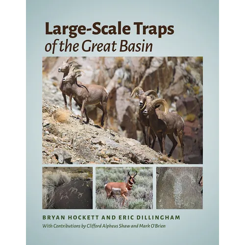 Large-Scale Traps of the Great Basin