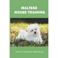 Maltese House Training: Tips For Training Your Maltese Dog: How To Train A Maltese Puppy To Sit