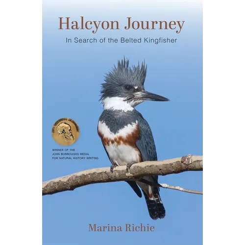 Halcyon Journey: In Search of the Belted Kingfisher
