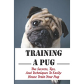 Training A Pug: The Secrets, Tips, And Techniques To Easily House Train Your Pug: House Training For Your Pug Guide