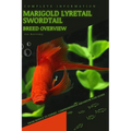 Marigold Lyretail Swordtail: From Novice to Expert. Comprehensive Aquarium Fish Guide