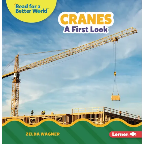 Cranes: A First Look