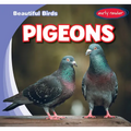 Pigeons