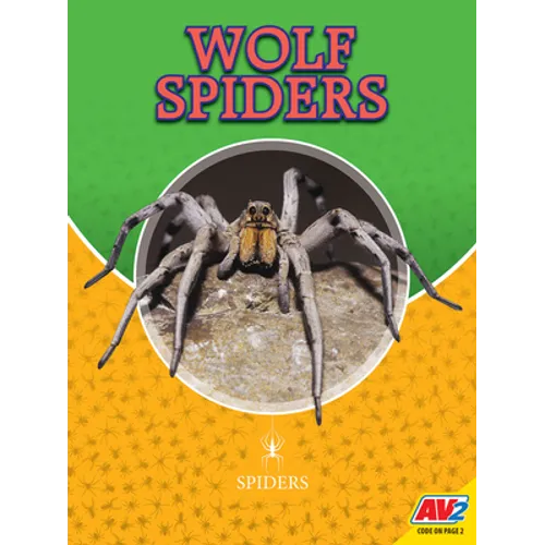 Wolf Spiders