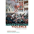 Underground Violence: On the Nature of Terrorism