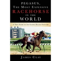 Pegasus, The Most Expensive Racehorse in the World: A True Story of the Global Racing Industry