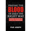 Praying the Blood of Jesus the Right Way: Pleading the Blood of Jesus for Turnaround