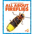 All about Fireflies