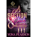 A Section 8 Chick & A Philly Millionaire 3: An African American Romance