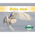 Buho Nival (Snowy Owl)
