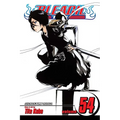 Bleach, Vol. 54