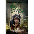 Bernese Mountain Dogs Big Cuddles: A Picturebook for Young Readers