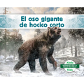 El Oso Gigante de Hocico Corto (Giant Short-Faced Bear)