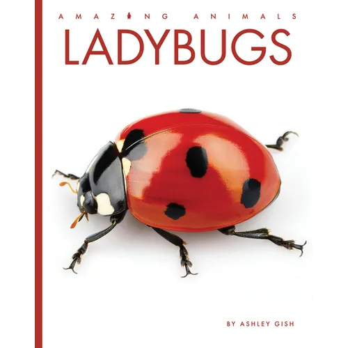 Ladybugs