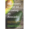 Beginners Guide on Growing an Avocado: Determining the Suitable Variety of Avocado