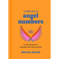 A Little Bit of Angel Numbers: An Introduction to Messages from the Universe