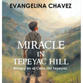 Miracle in Tepeyac Hill