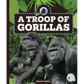 A Troop of Gorillas