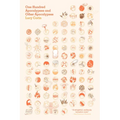 One Hundred Apocalypses and Other Apocalypses