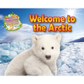 Welcome to the Arctic